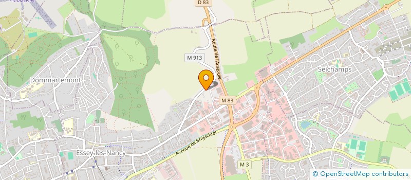 localisation de l'entreprise BRAIDOTTI MICHAEL  ESSEY-LES-NANCY