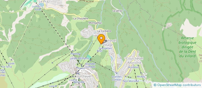 localisation de l'entreprise BRAIDWOOD à COURCHEVEL