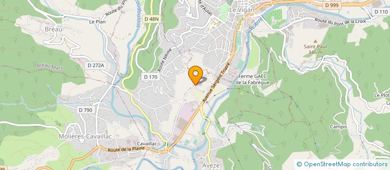 localisation de l'entreprise BRASSERIE DES CEVENNES EN PAYS VIGANAIS à AVEZE