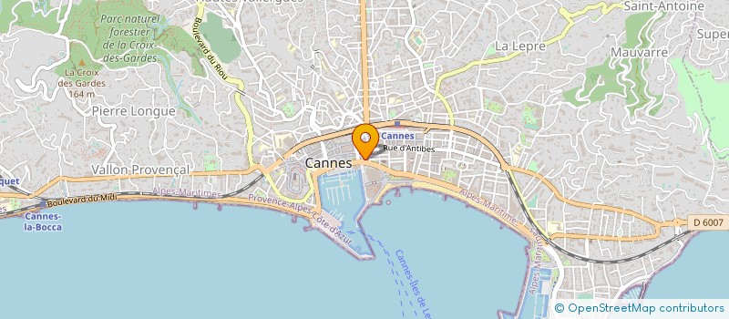 localisation de l'entreprise BRASSERIE DU CHATEAU DEMONPERE à CANNES