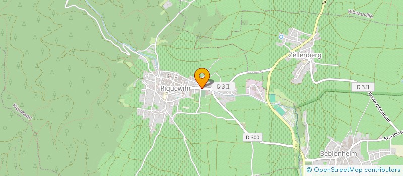 localisation de l'entreprise BRASSERIE DU VIGNOBLE  RIQUEWIHR