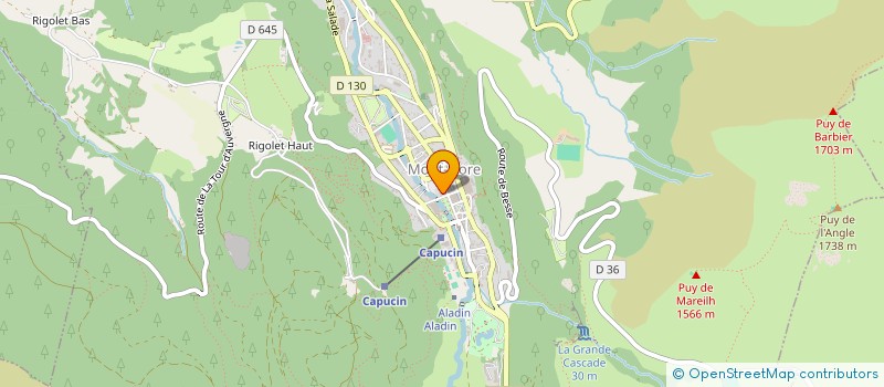 localisation de l'entreprise BRASSERIE SHELBY  MONT-DORE