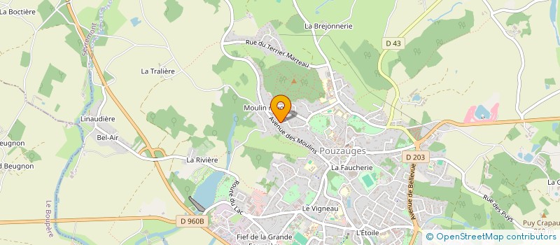 localisation de l'entreprise BRAUD MATHIEU  POUZAUGES