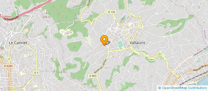 localisation de l'entreprise BRAYEK PEINTURE  VALLAURIS