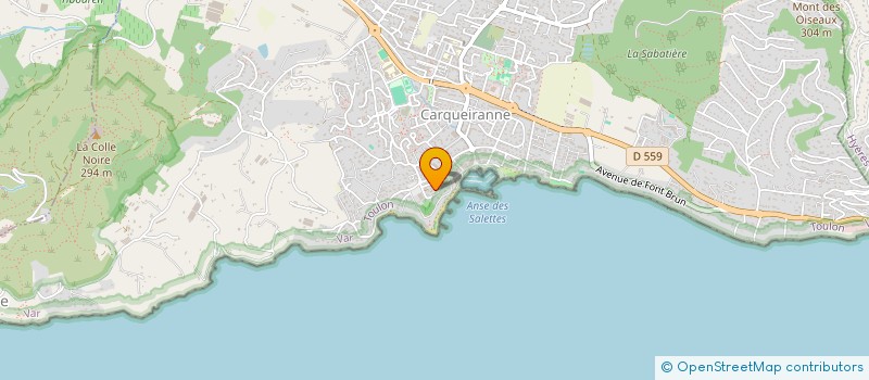 localisation de l'entreprise BRC IMMO  CARQUEIRANNE