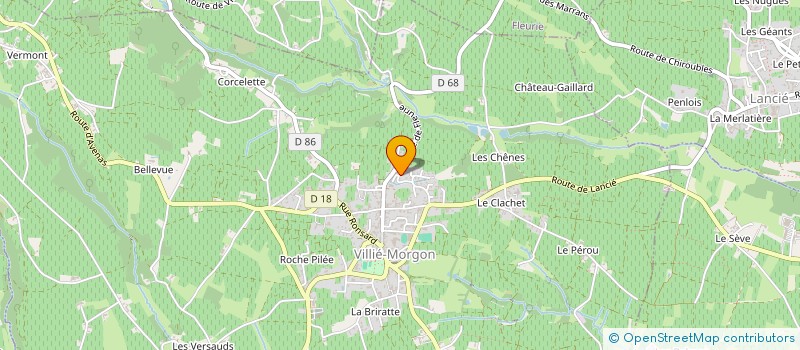 localisation de l'entreprise BREAK THE SILENCE (BTS69) à VILLIE-MORGON