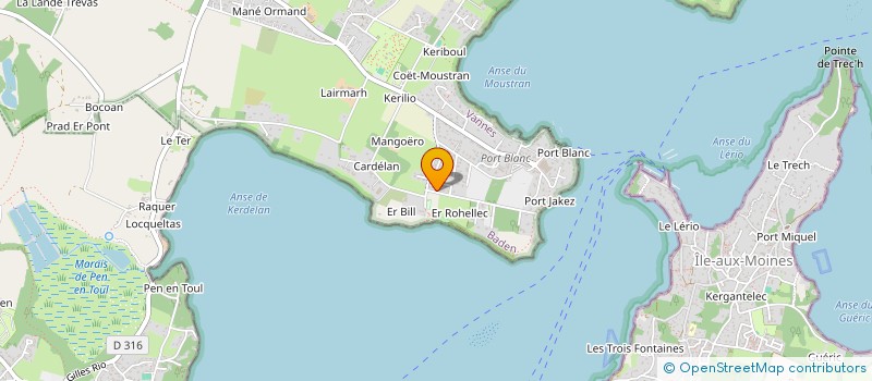 localisation de l'entreprise BREIZHDIS EURL  BADEN