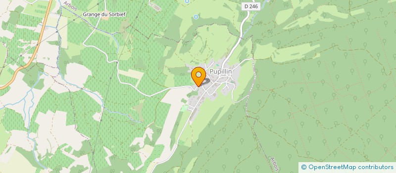 localisation de l'entreprise BRENIAUX  PUPILLIN