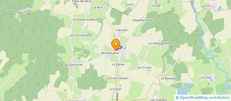 localisation de l'entreprise BRESSE ORNEMENTS EURL  SULIGNAT