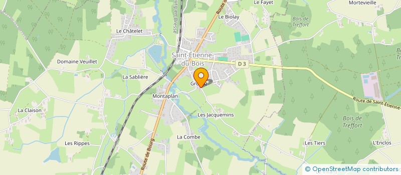 localisation de l'entreprise BRESSE SAVOIE INVESTISSEMENT  SAINT-ETIENNE-DU-BOIS