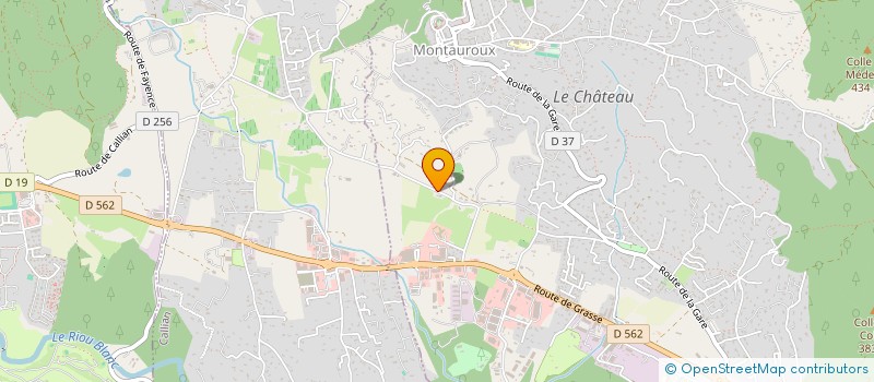 localisation de l'entreprise BRESSIMMO  MONTAUROUX