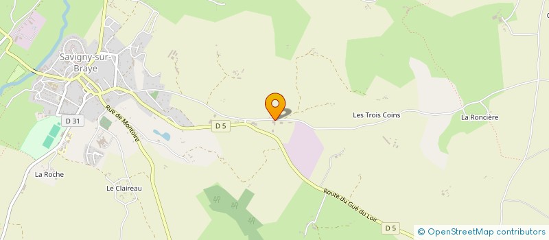 localisation de l'entreprise BRETTE-GAUTIER  SAVIGNY-SUR-BRAYE