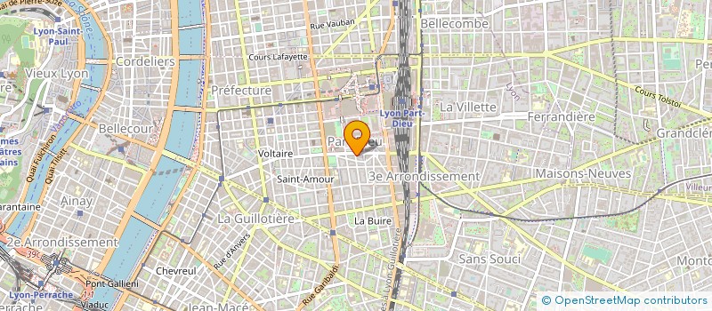 localisation de l'entreprise BRIAN'S NIGHT SHOWS  LYON