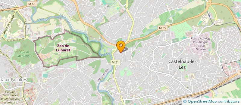 localisation de l'entreprise BRIAND PROMOTION  CASTELNAU-LE-LEZ