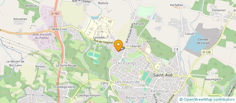 localisation de l'entreprise BRIC CONCEPT MACONNERIE  SAINT-AVE