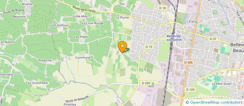 localisation de l'entreprise BRIGIT LANGLOY ENCADREUR  BELLEVILLE-EN-BEAUJOLAIS