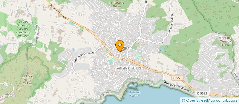 localisation de l'entreprise BRIN DE FOLIE à CARQUEIRANNE