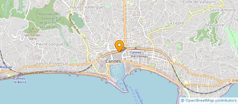 localisation de l'entreprise BRINDANI à CANNES