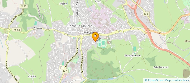 localisation de l'entreprise BRING SERVICES à ROCHE-LA-MOLIERE