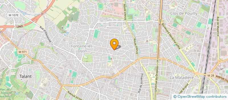 localisation de l'entreprise BRIOT CONSEIL & EXPERTISE à FONTAINE-LES-DIJON