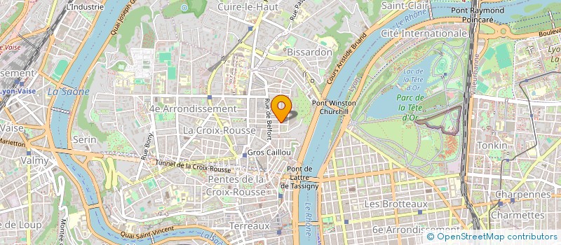 localisation de l'entreprise BROOKS ANDERSON HOLDING  LYON