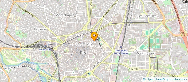 localisation de l'entreprise BROSSE TA SNEAKER  DIJON