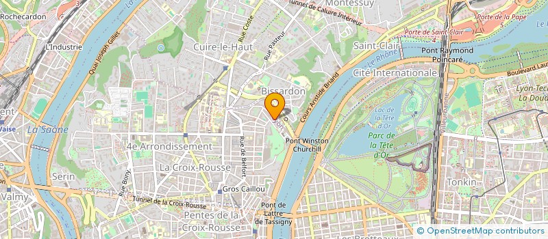 localisation de l'entreprise BROTHERS AND PARTNERS à LYON
