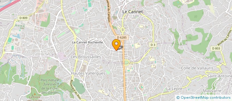 localisation de l'entreprise BRUGEL CONSULTING à LE CANNET