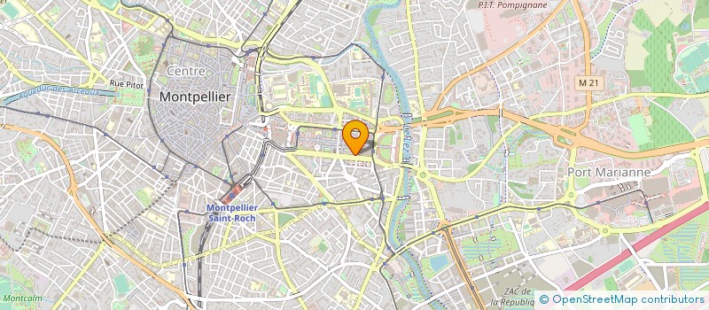 localisation de l'entreprise BRUNO DAVID DIFFUS INTERNAT PRODU NATURE à MONTPELLIER