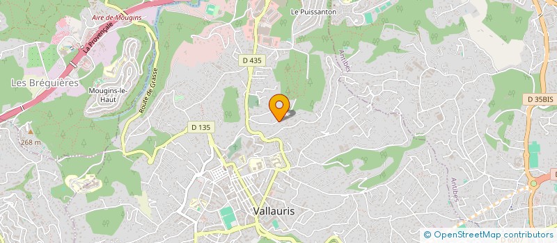 localisation de l'entreprise BS GESTION CONSEIL  VALLAURIS