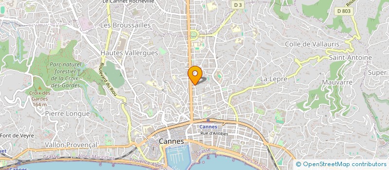 localisation de l'entreprise BS IMMO  CANNES