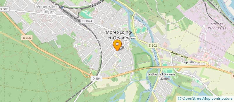 localisation de l'entreprise BSF INVEST GATINAIS  MORET-LOING-ET-ORVANNE