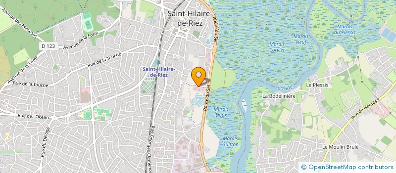 localisation de l'entreprise BSI  SAINT-HILAIRE-DE-RIEZ