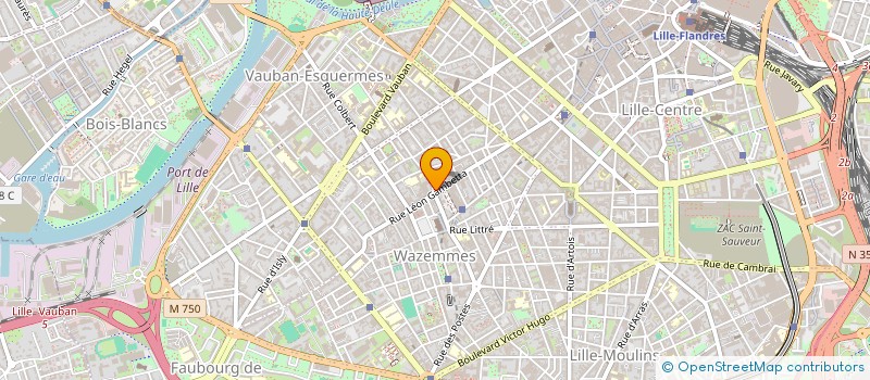 localisation de l'entreprise BSLIM LILLE à LILLE