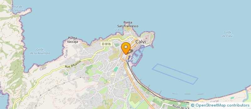 localisation de l'entreprise BSW DESIGN à CALVI