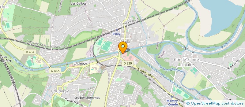 localisation de l'entreprise BTNN - BOUCHERIE TRIPERIE NANDO ET NATACHA  SAACY-SUR-MARNE