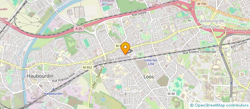 localisation de l'entreprise BUBINVEST  LOOS