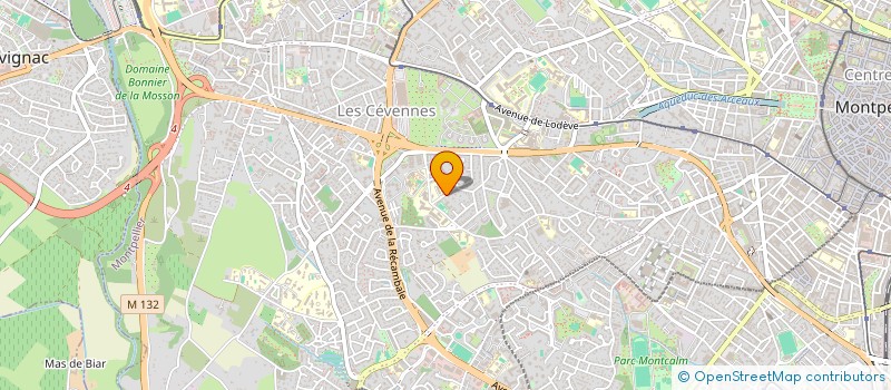 localisation de l'entreprise BUCEPHALE TRANSPORT à MONTPELLIER