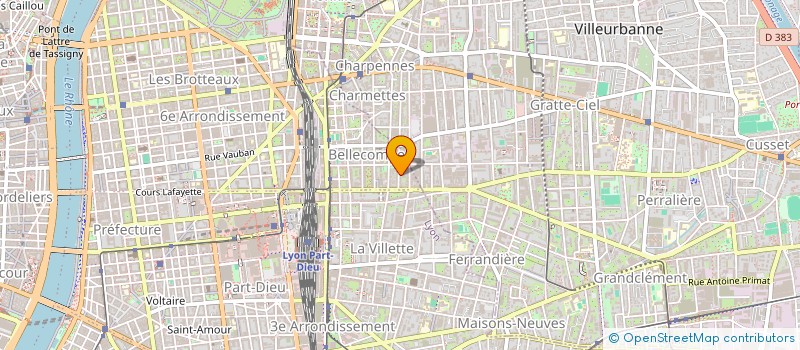 localisation de l'entreprise BUCLET DENISE ET MICHEL à LYON