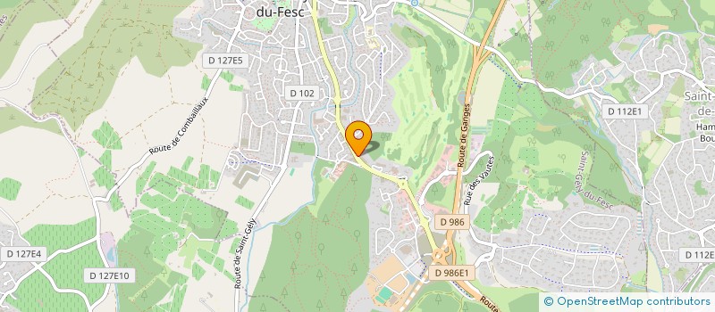 localisation de l'entreprise BUDOKAN SAINT GELY  SAINT-GELY-DU-FESC