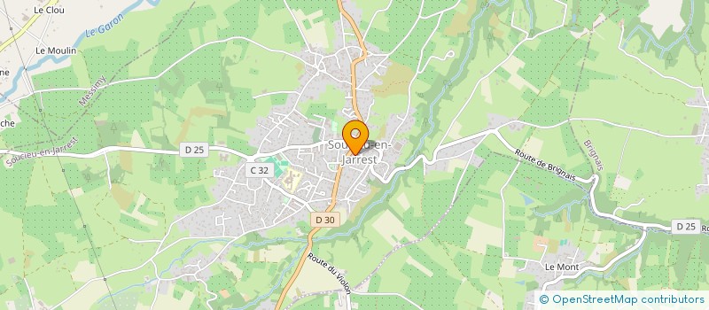 localisation de l'entreprise BUENA ONDA  SOUCIEU-EN-JARREST