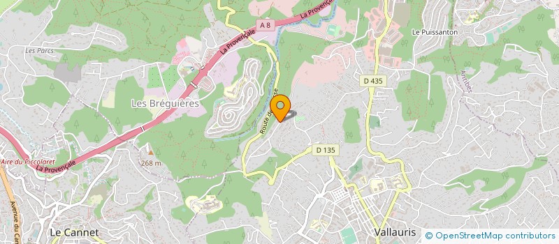 localisation de l'entreprise BUISNESS DRIVER AND SERVICES à VALLAURIS