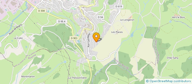localisation de l'entreprise BUISSONNIERE AV  THIZY-LES-BOURGS