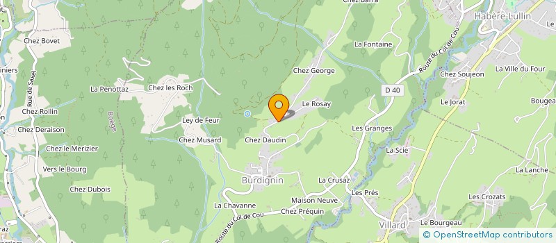 localisation de l'entreprise BURDY  BURDIGNIN