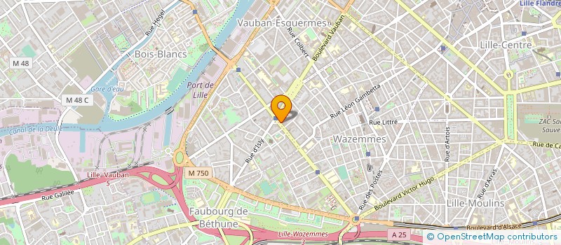 localisation de l'entreprise BUREAU ETUDES STRUCTURES METALL INFORMAT  LILLE