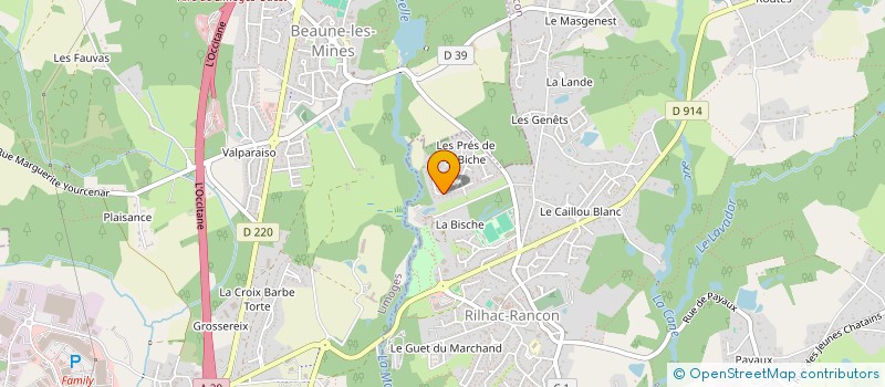 localisation de l'entreprise BURGAUD PIERRE  RILHAC-RANCON