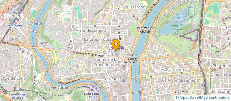 localisation de l'entreprise BUSINESS CARDE à LYON