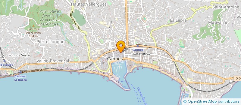 localisation de l'entreprise BUSINESS CONCEPT à CANNES
