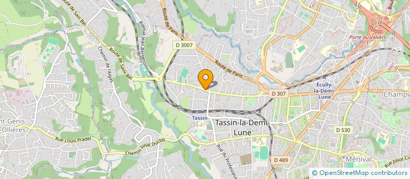 localisation de l'entreprise BUSINESS MOBILITE à TASSIN-LA-DEMI-LUNE