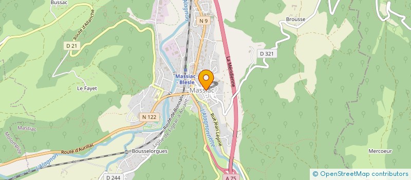 localisation de l'entreprise BUSSAC INVEST à MASSIAC